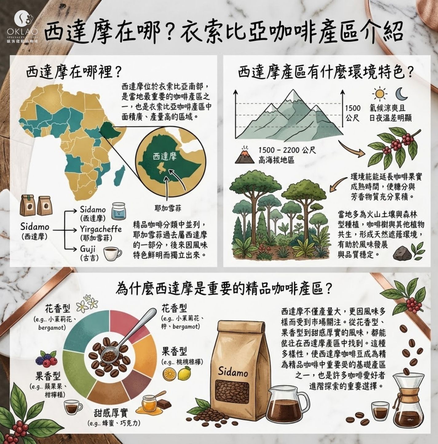 西達摩咖啡 西達摩在哪 西達摩咖啡口味 西達摩風味 西達摩g1 西達摩咖啡豆 衣索比亞咖啡產區 西達摩g4 歐客佬咖啡 精品咖啡 精品咖啡豆 掛耳咖啡 咖啡禮盒
