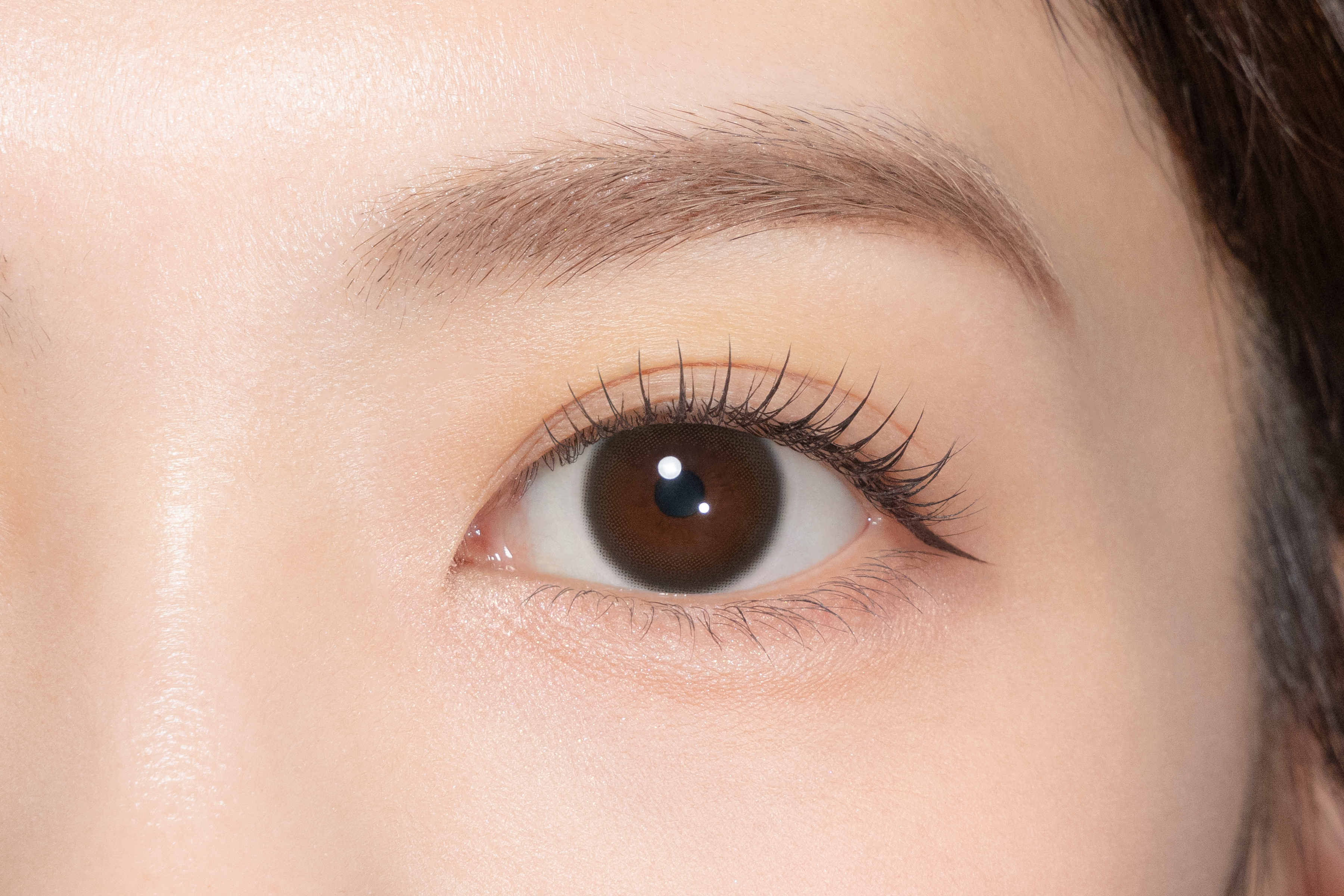 TOPARDS Color Contact Lenses 彩色隱形眼鏡(自然裸眼風)(1DAY)(10片裝)(Natu Baby Espresso)