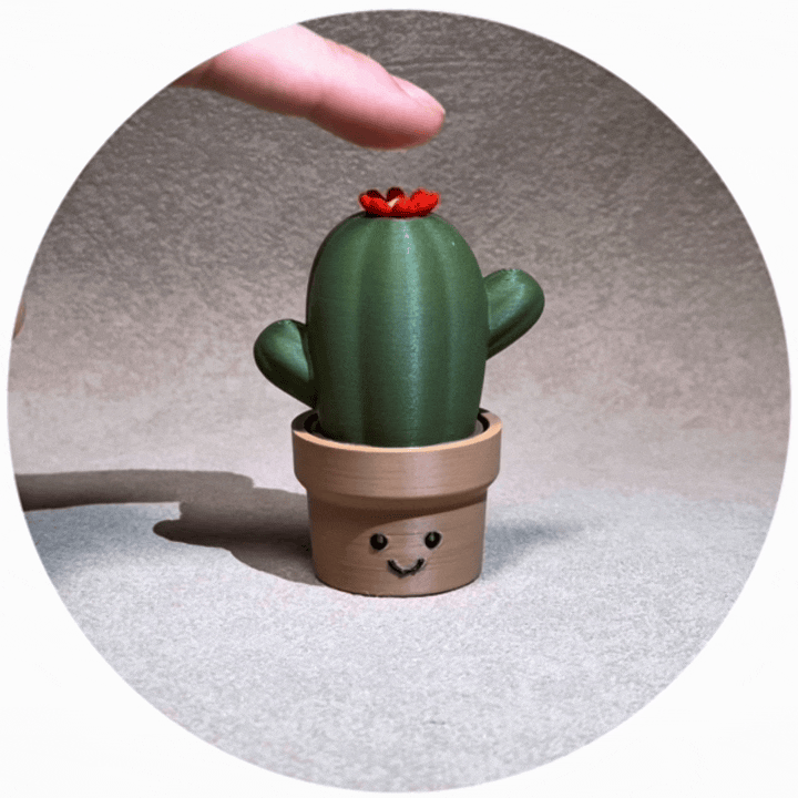 微笑星球 - 仙人掌 | 解壓按鍵