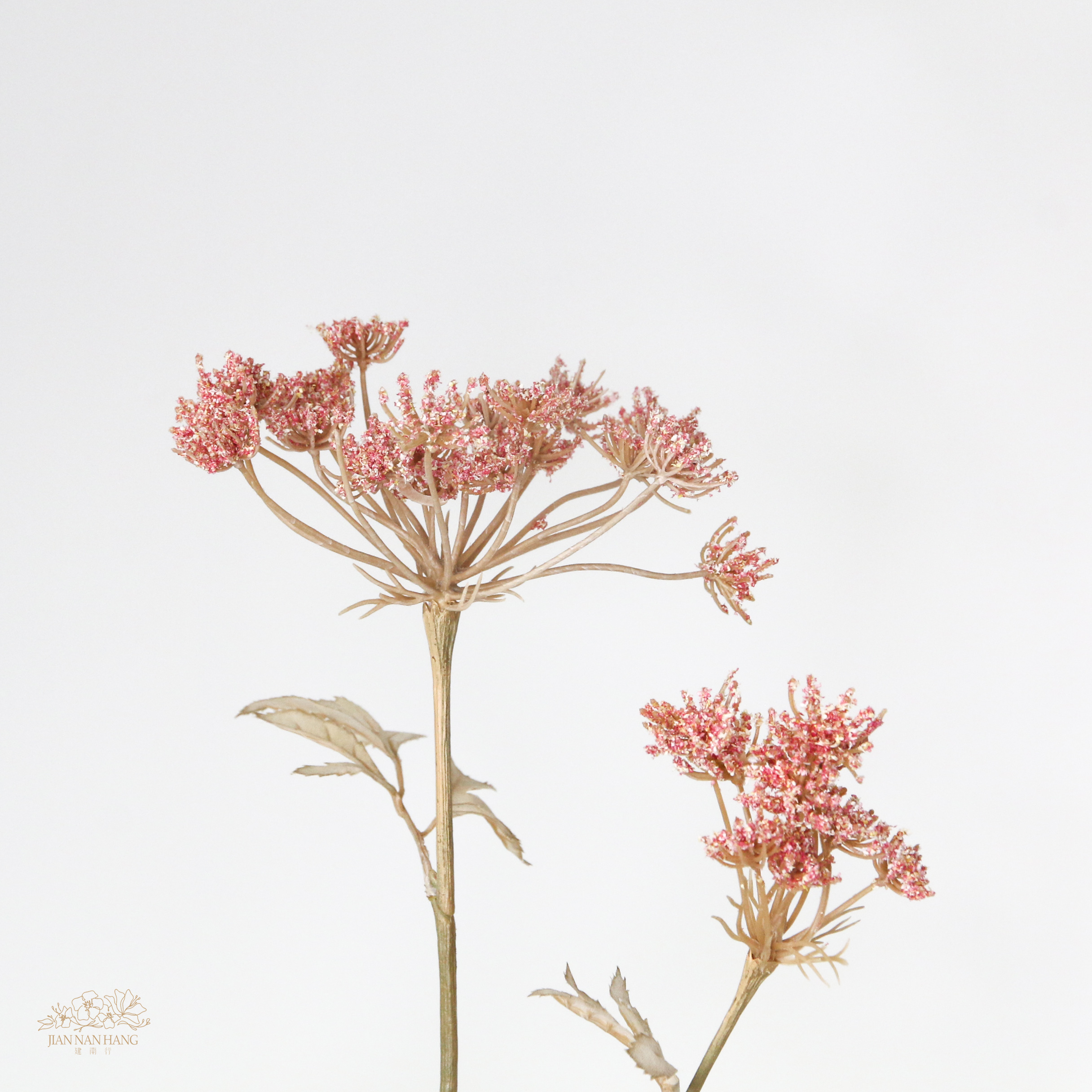 人造花 蕾絲花 乾燥色 粉