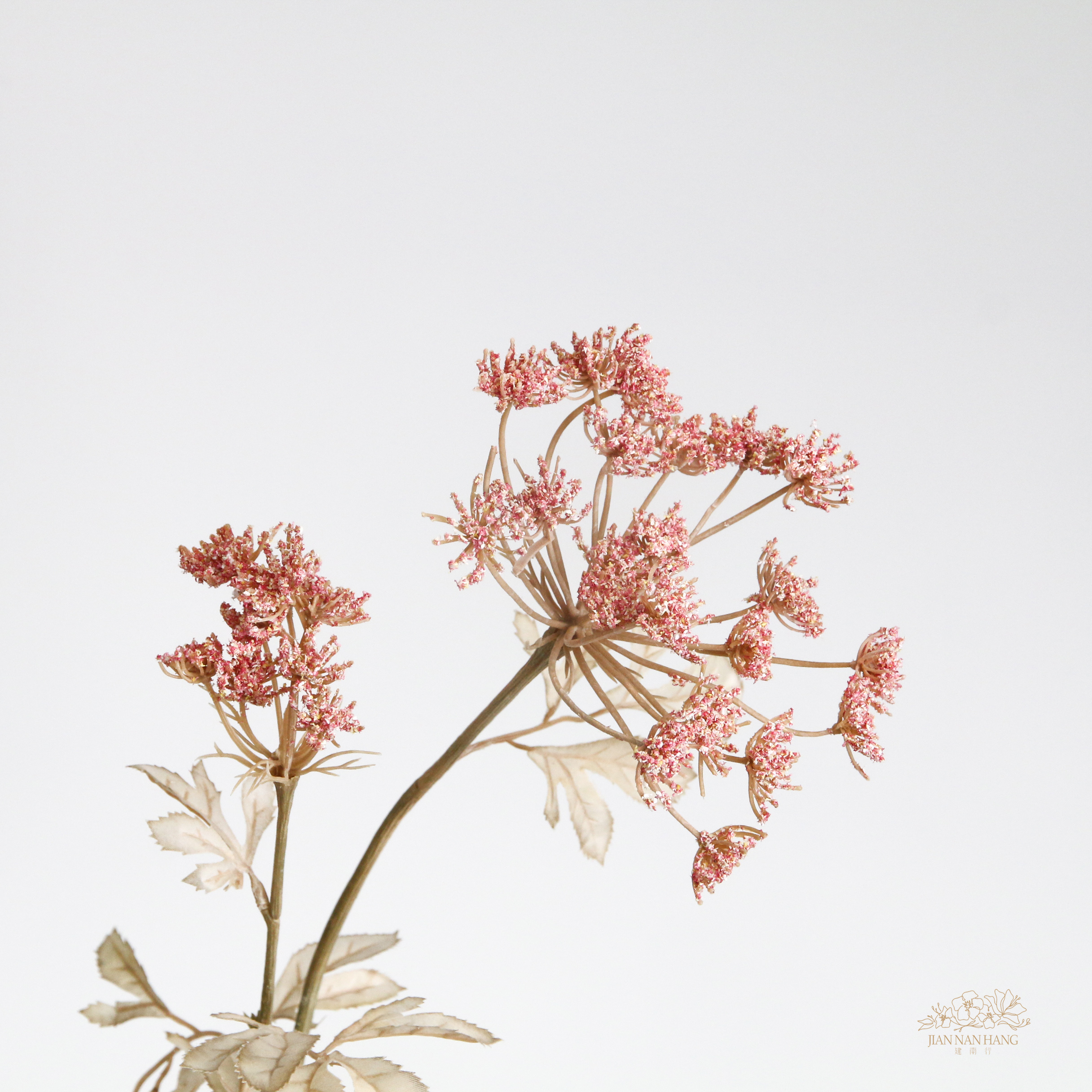 人造花 蕾絲花 乾燥色 粉