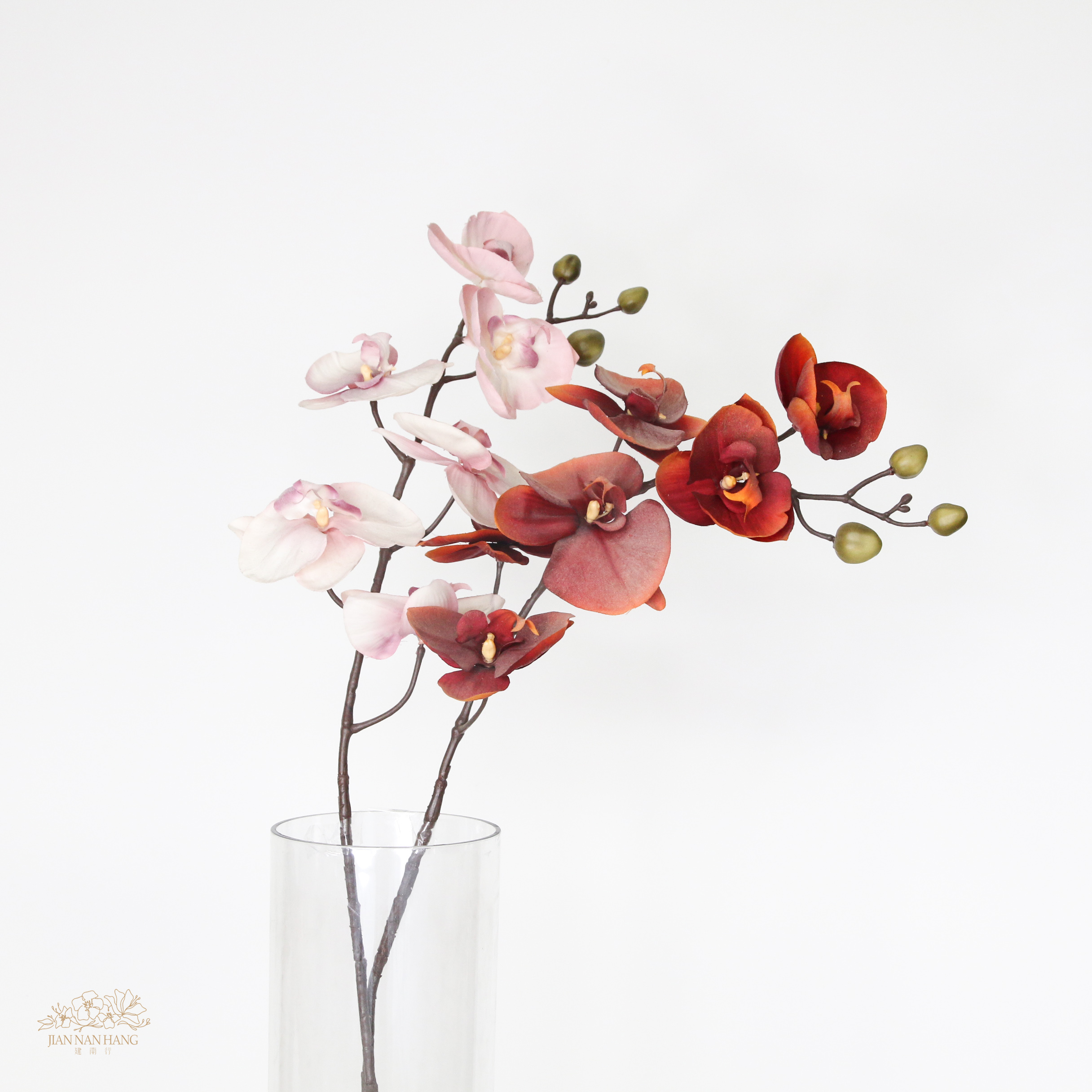 人造花 漸層蝴蝶蘭 2色