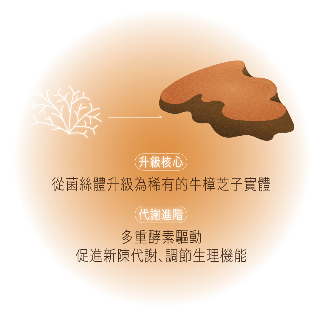 美甘力2.0升級｜全素高強度代謝應援配方｜台日雙效專利