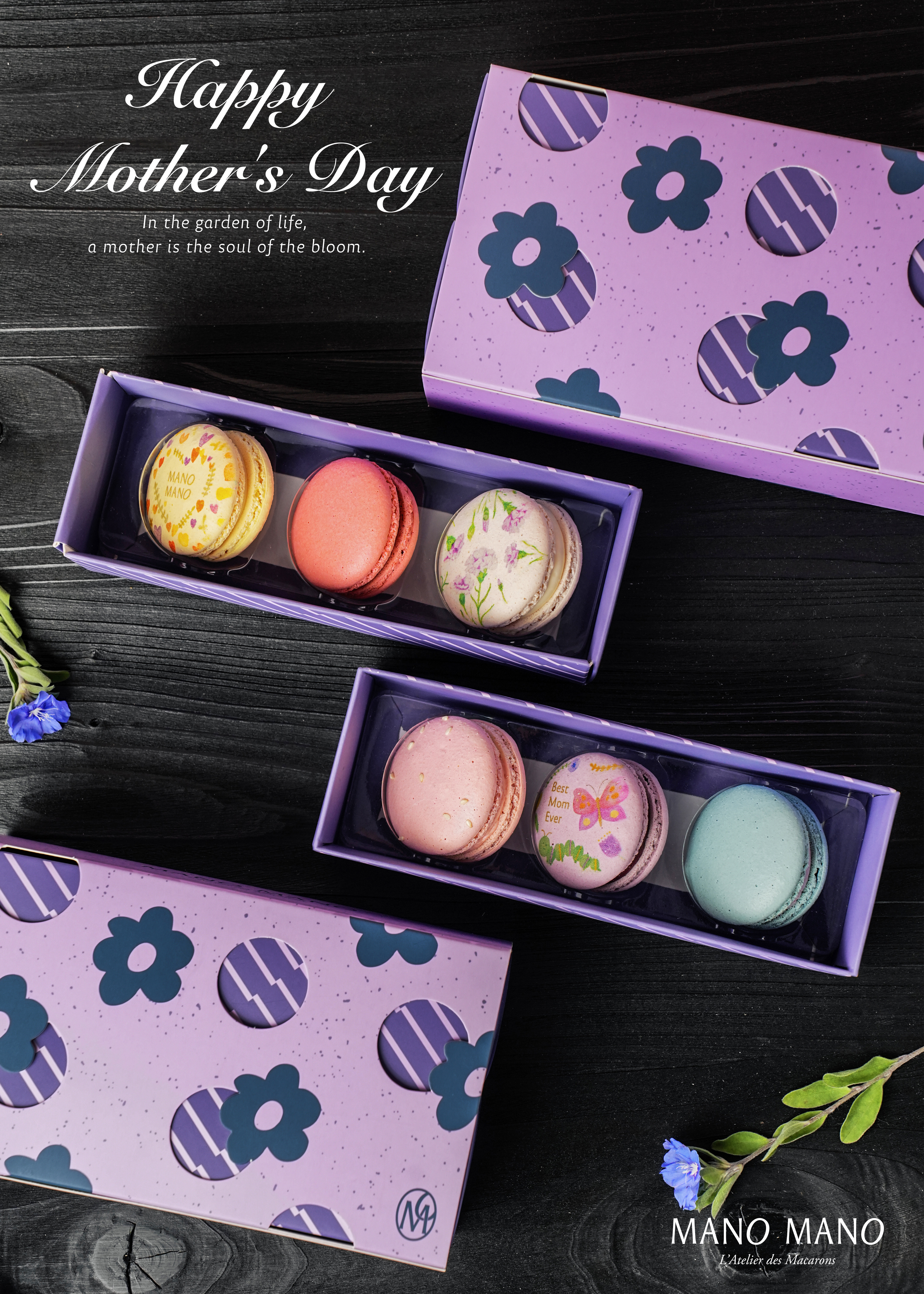 【預購商品】母親節限定馬卡龍禮盒｜6入