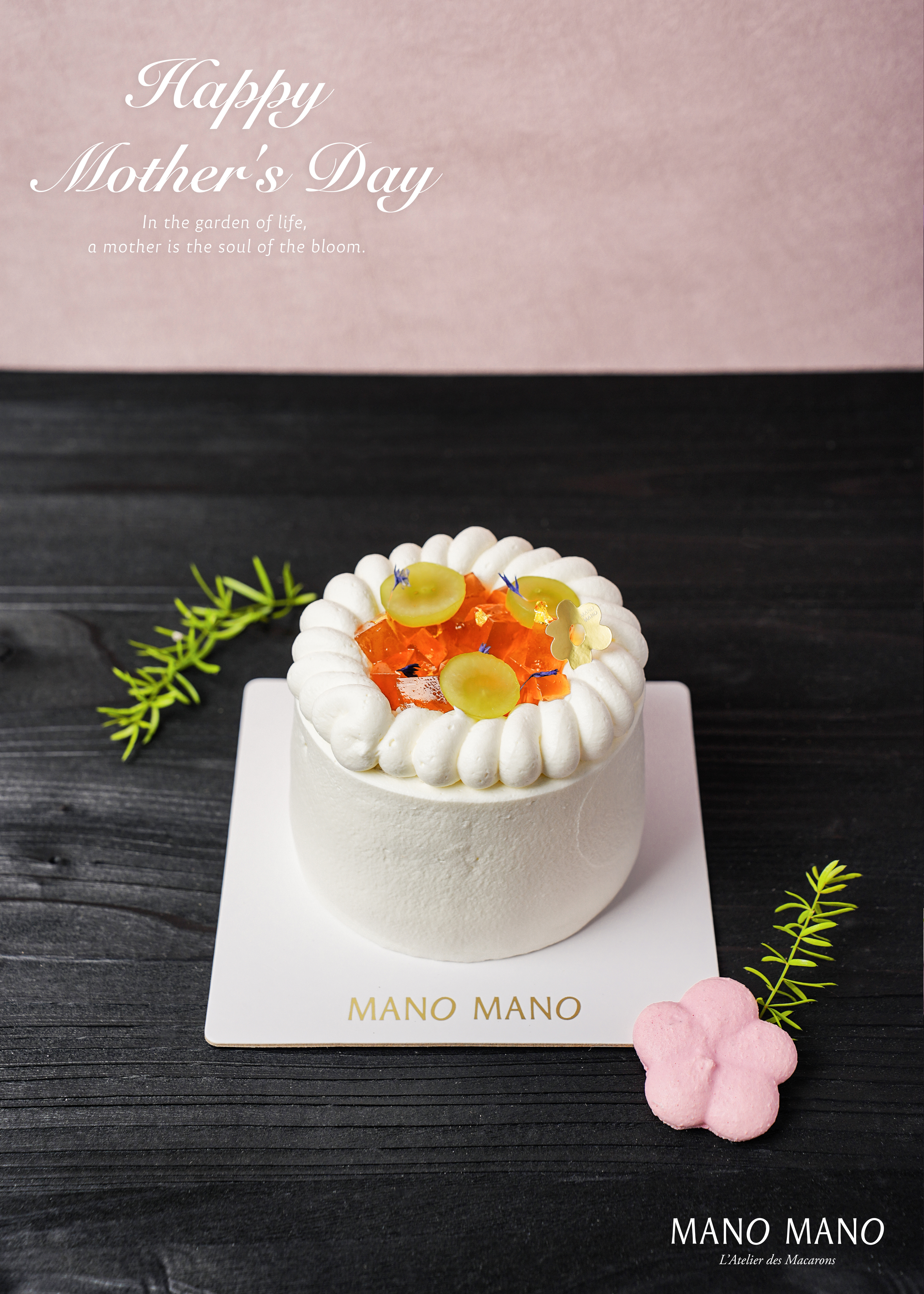 【預購商品】母親節限定｜4吋 茶梅綻香