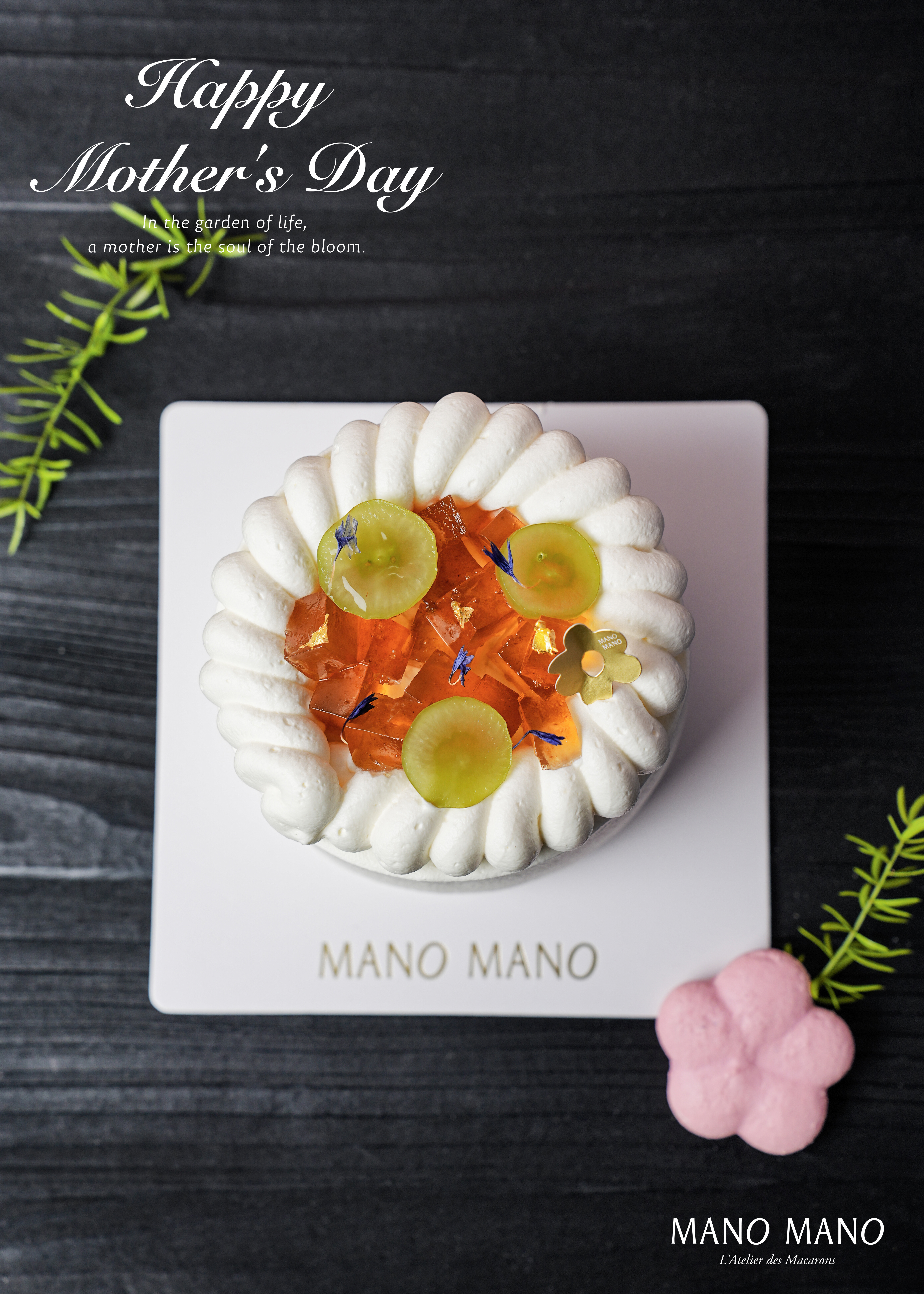 【預購商品】母親節限定｜4吋 茶梅綻香