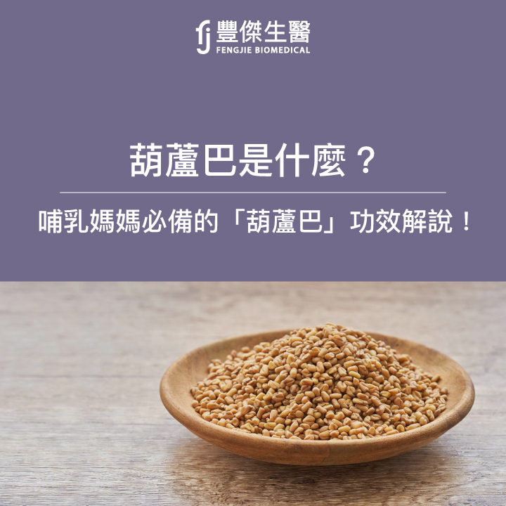 葫蘆巴是什麼？哺乳媽媽必備的「葫蘆巴」功效與副作用一次告訴你！