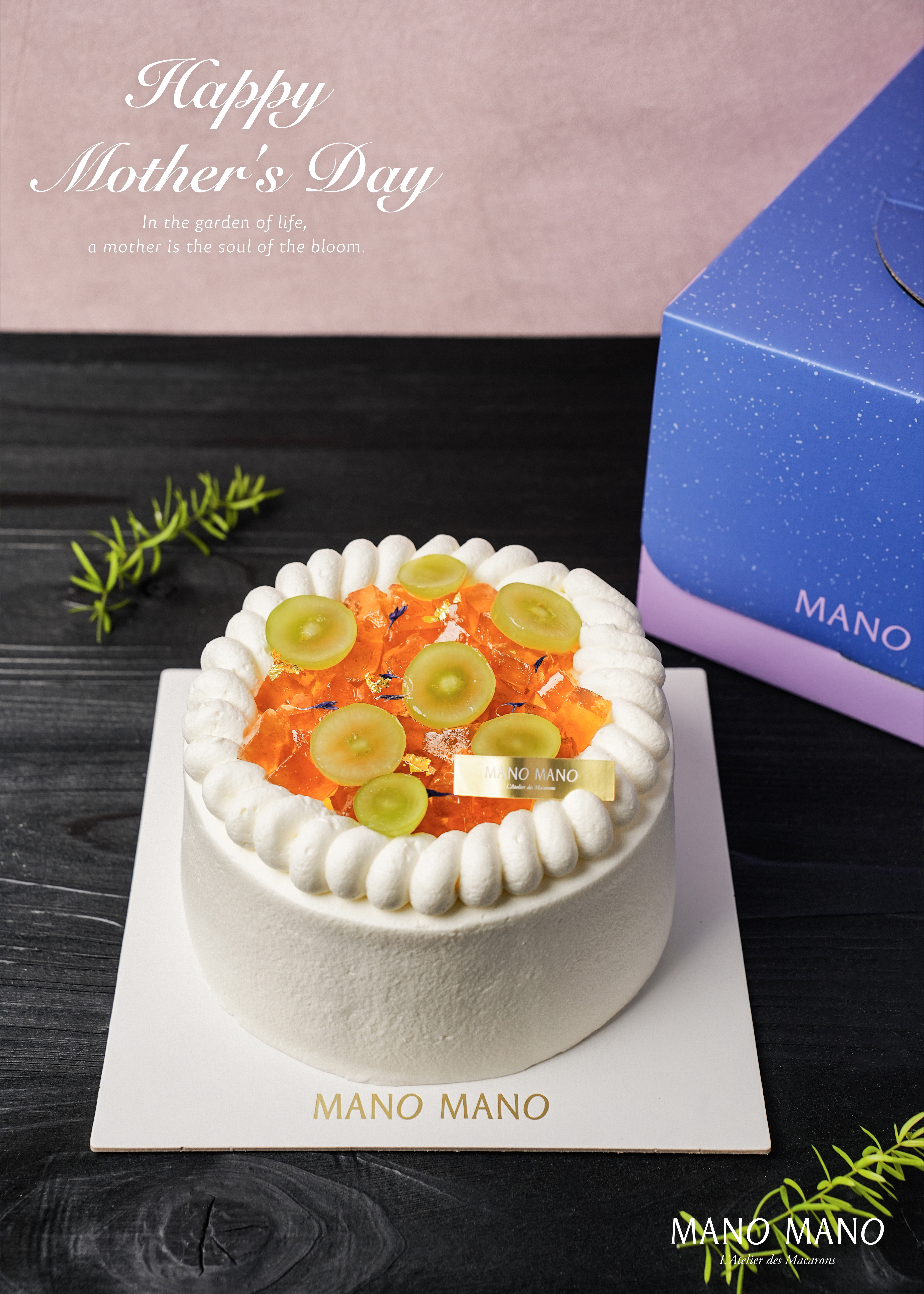 【預購商品】母親節限定｜6吋 茶梅綻香