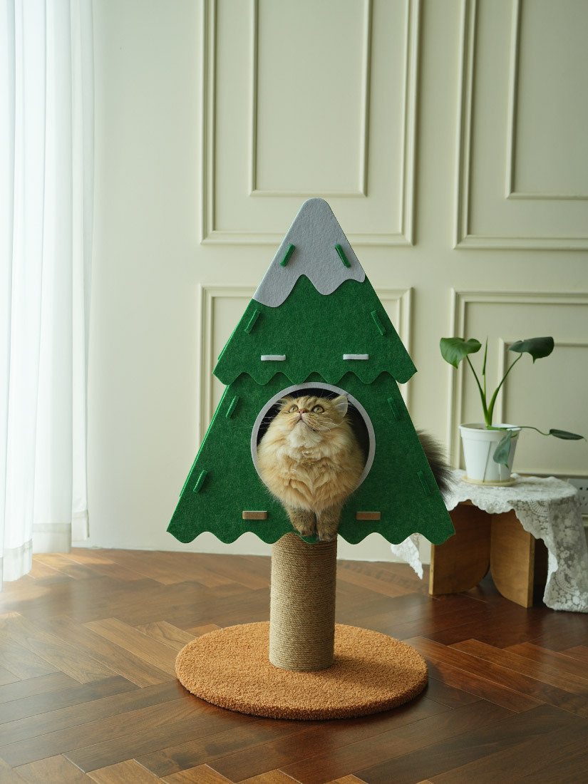 喵仙兒-踏雪綠樹貓跳台