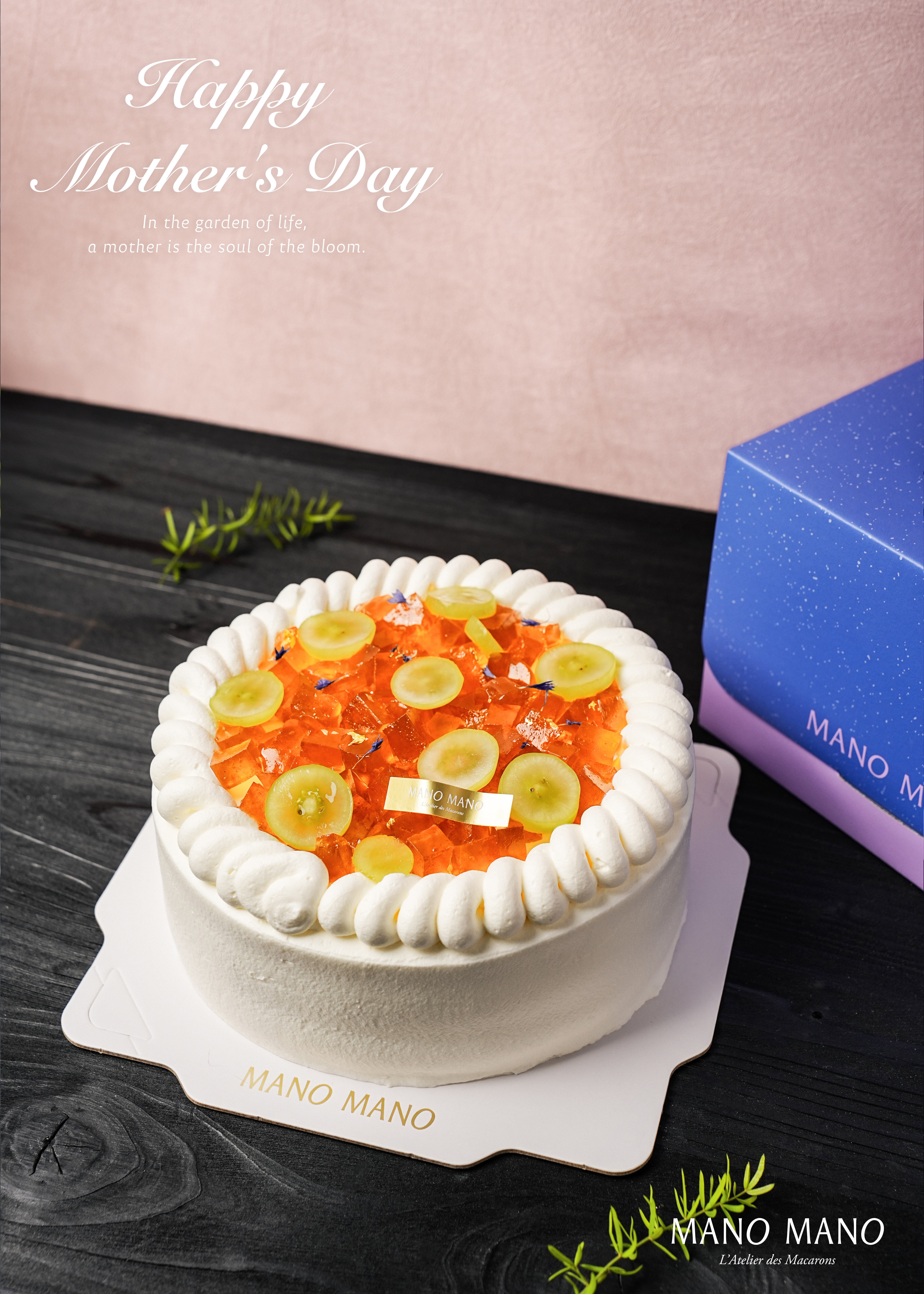 【預購商品】母親節限定｜8吋 茶梅綻香