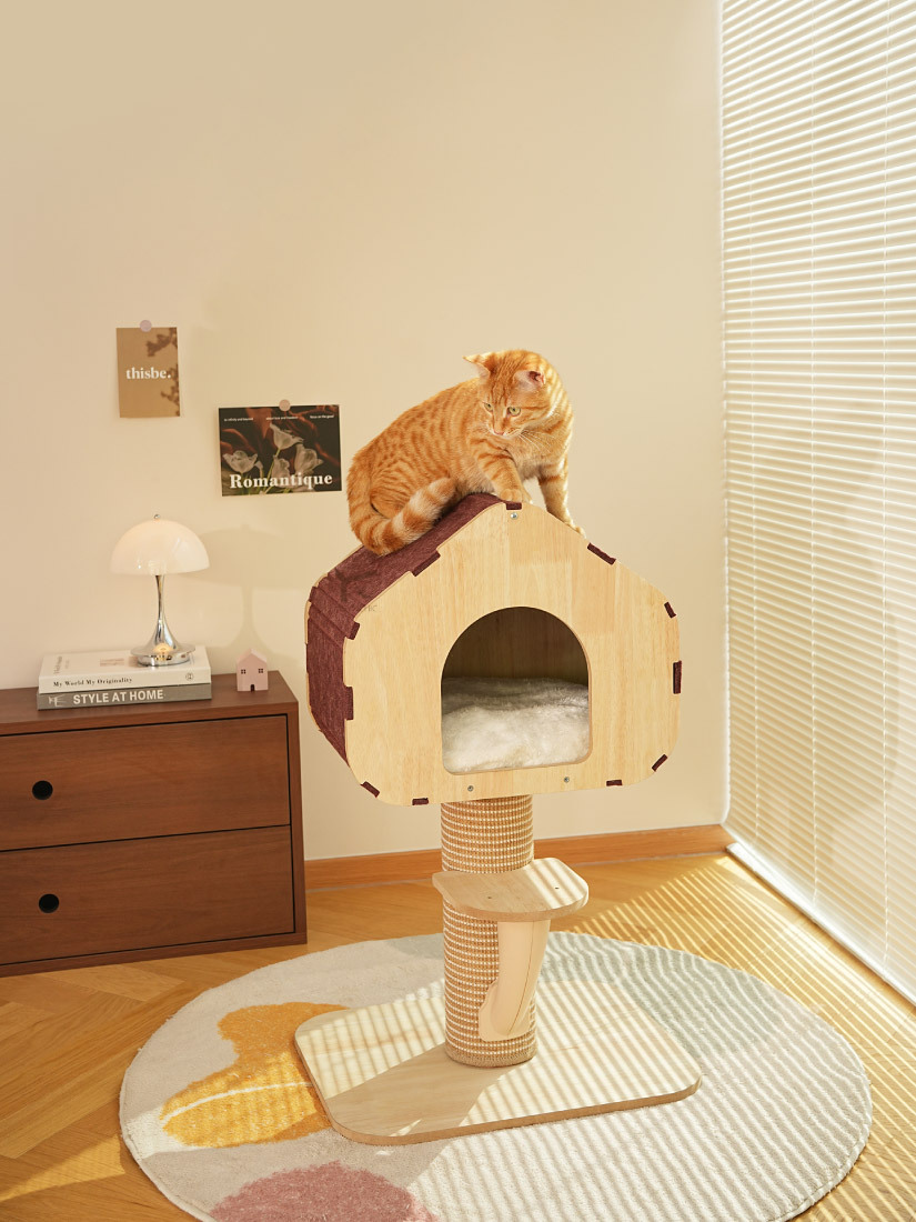 喵仙兒-栗子樹屋貓跳台