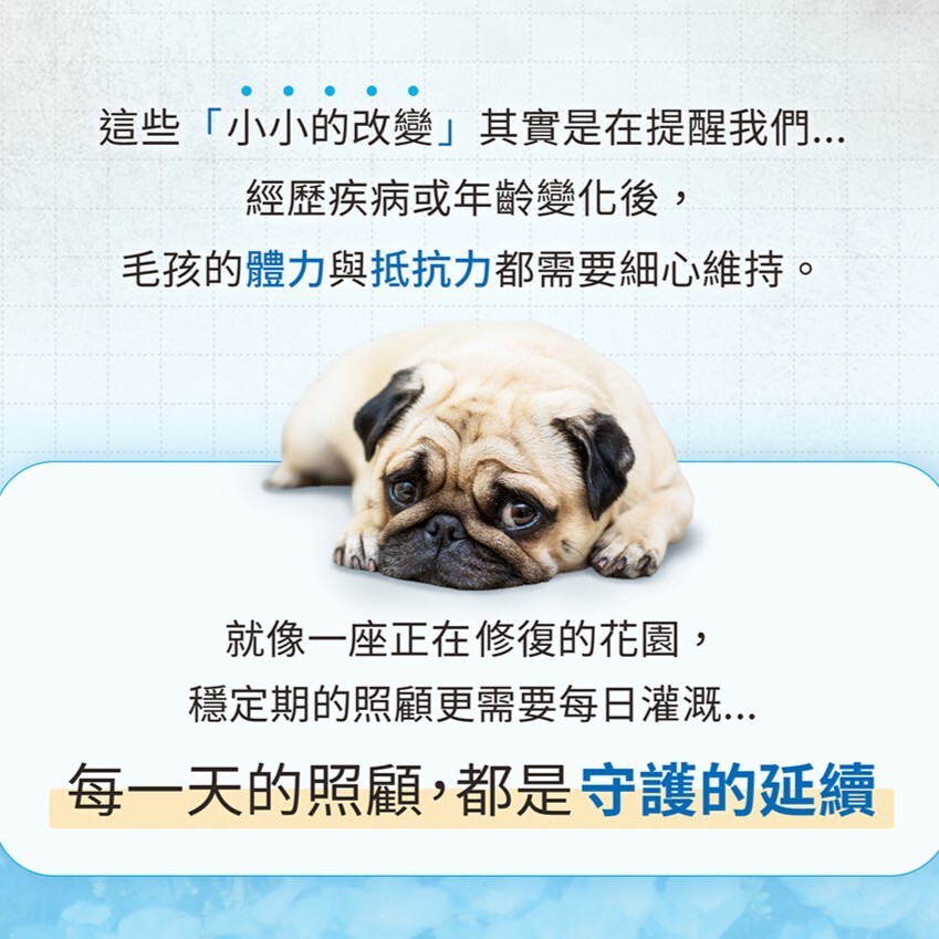 Hi-Q｜藻康留 藻心沛 30顆【日常照護型】