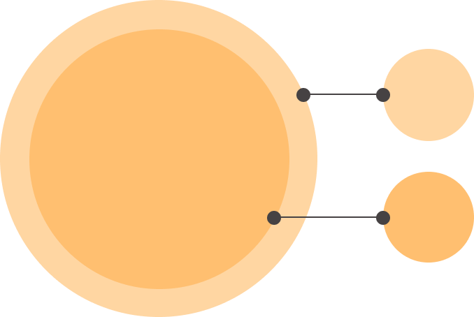 以往葉黃素的舊型態，僅添加2色素「葉黃素+玉米黃素」