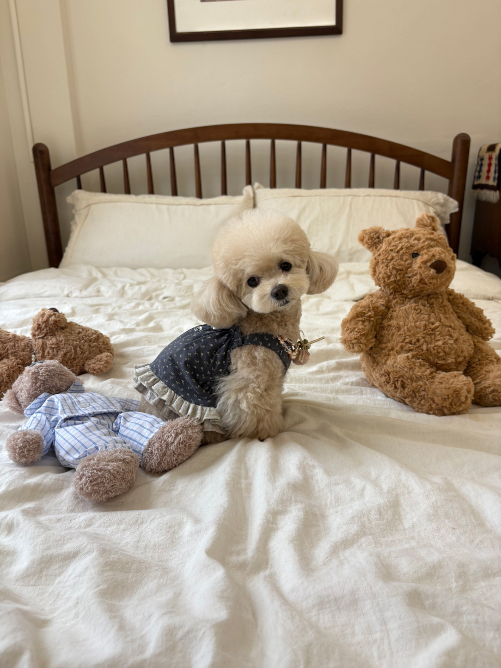 COZY-N 復古懷舊小花洋裝