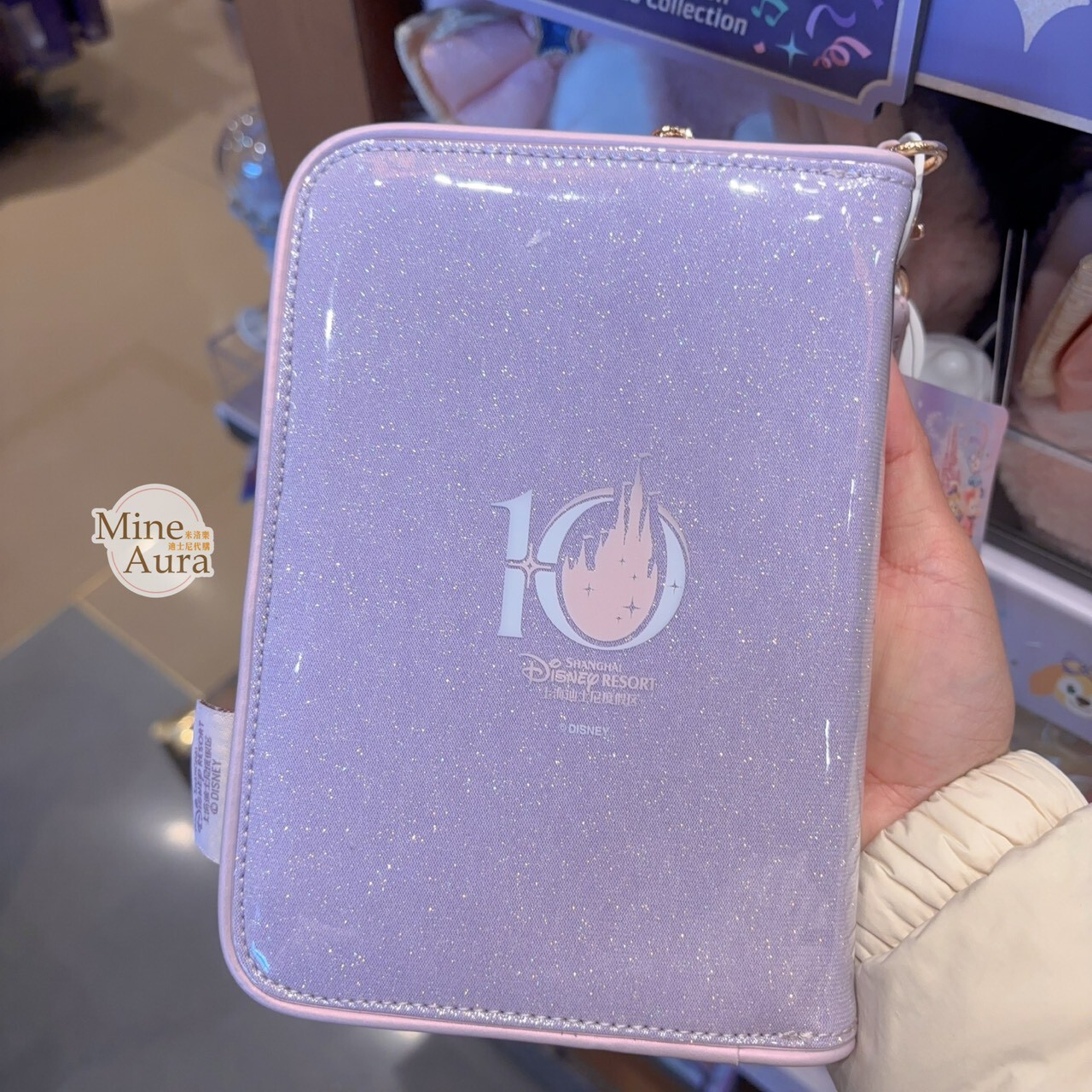 10歲生日慶典 達菲 Duffy 與好友們 隨身 文具 收納包 -上海迪士尼樂園