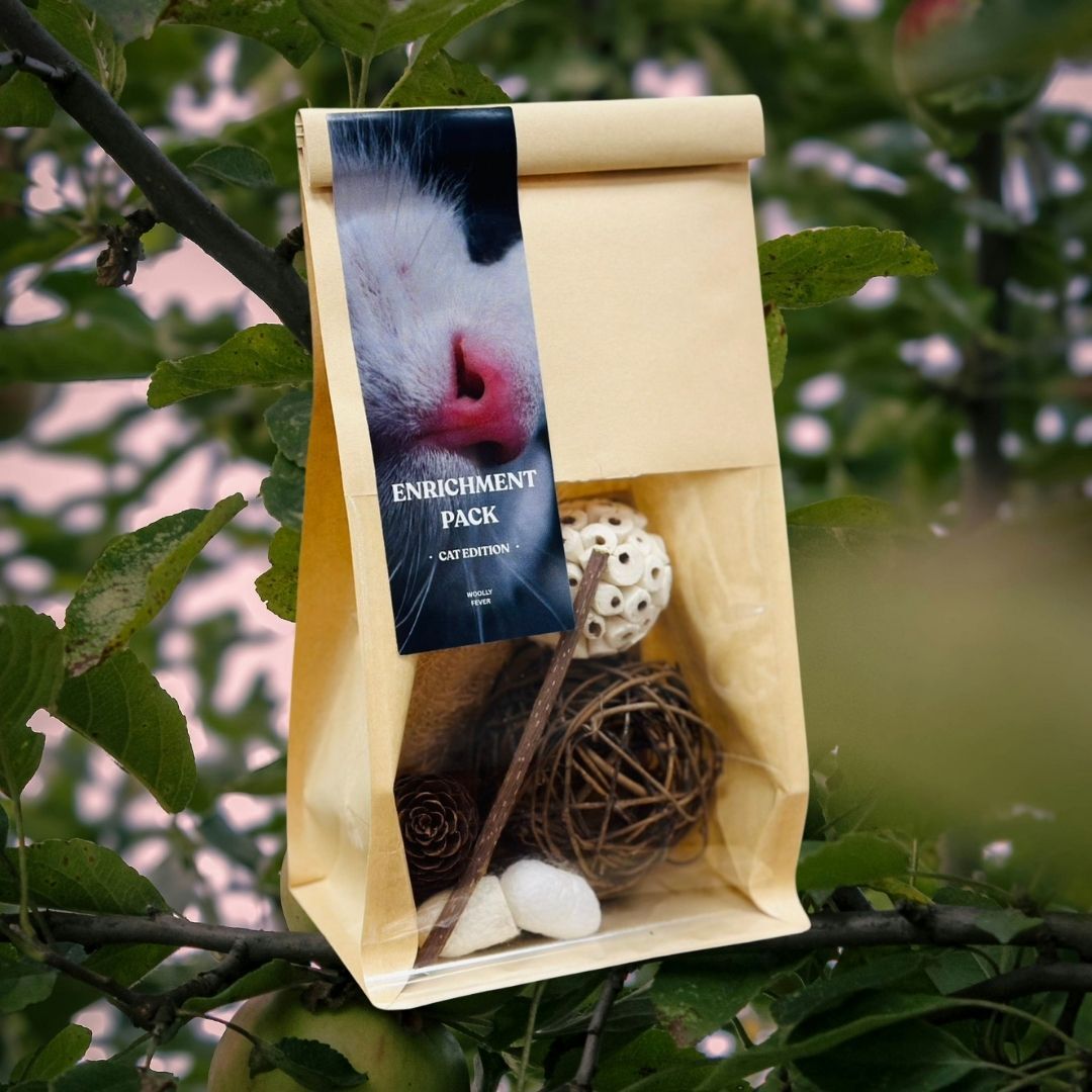 WF | 貓貓森林嗅聞組