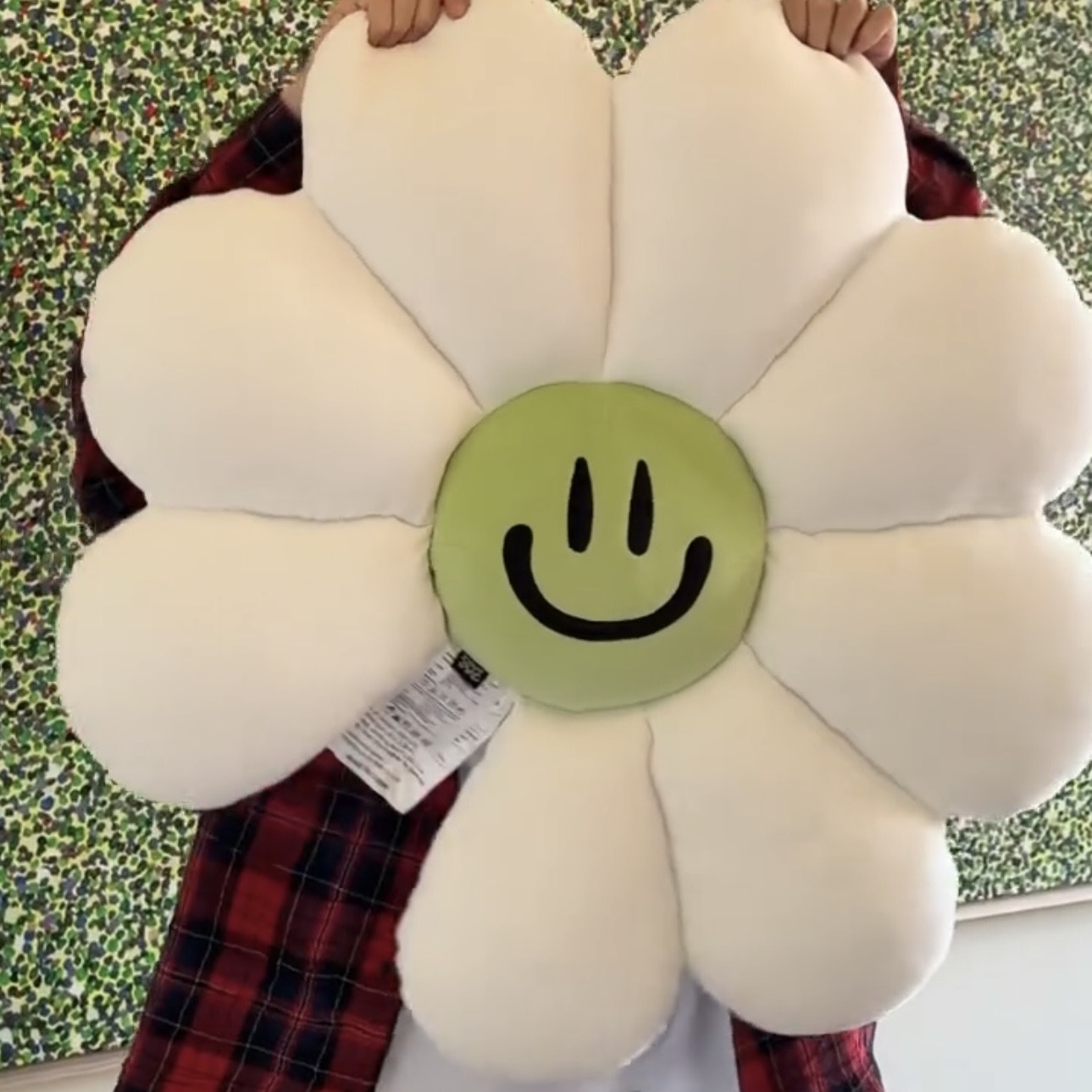 ZO&FRIENDS ZOAFUL WINTER A&NE靠墊 小雛菊 抱枕 GD權志龍