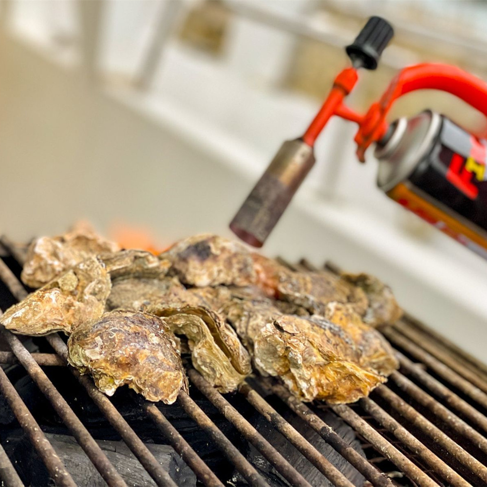 【屏東】大鵬灣遊湖