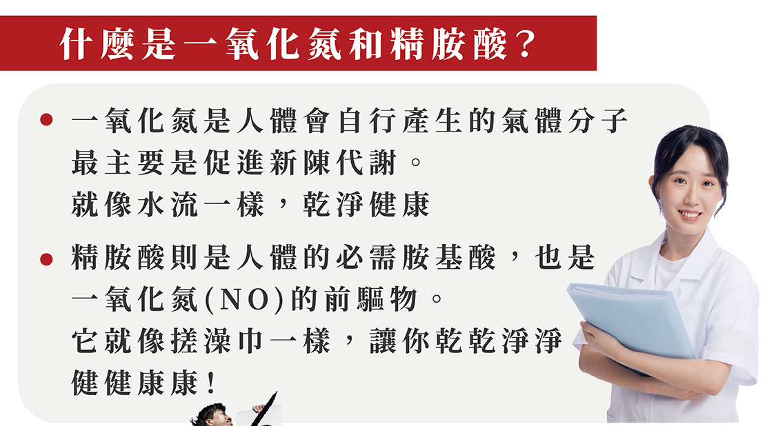 一氧化氮幫助身體新陳代謝，精胺酸幫助新陳代謝更乾淨，同時也是一氧化氮的前驅物