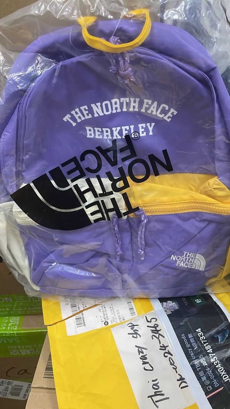 現貨 TNF 兒童背包送野餐墊 Kids Picnic Pack(紫色）（#919)