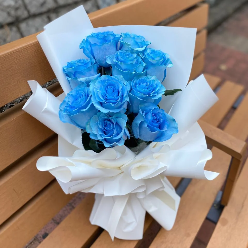 W -厄瓜多爾冰藍玫瑰_RS72243