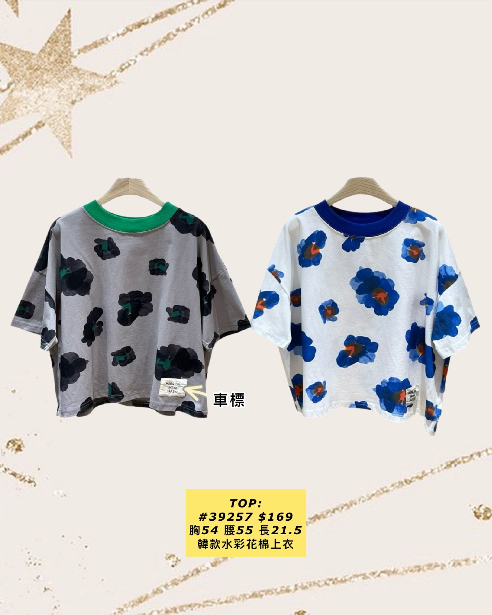 TOP:  39257 韓款水彩花棉上衣  (胸54 腰55 長21.5)