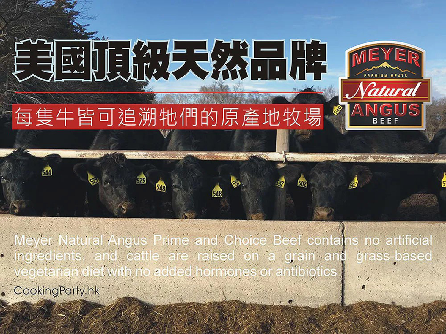 MEYER乾式熟成30天肉眼