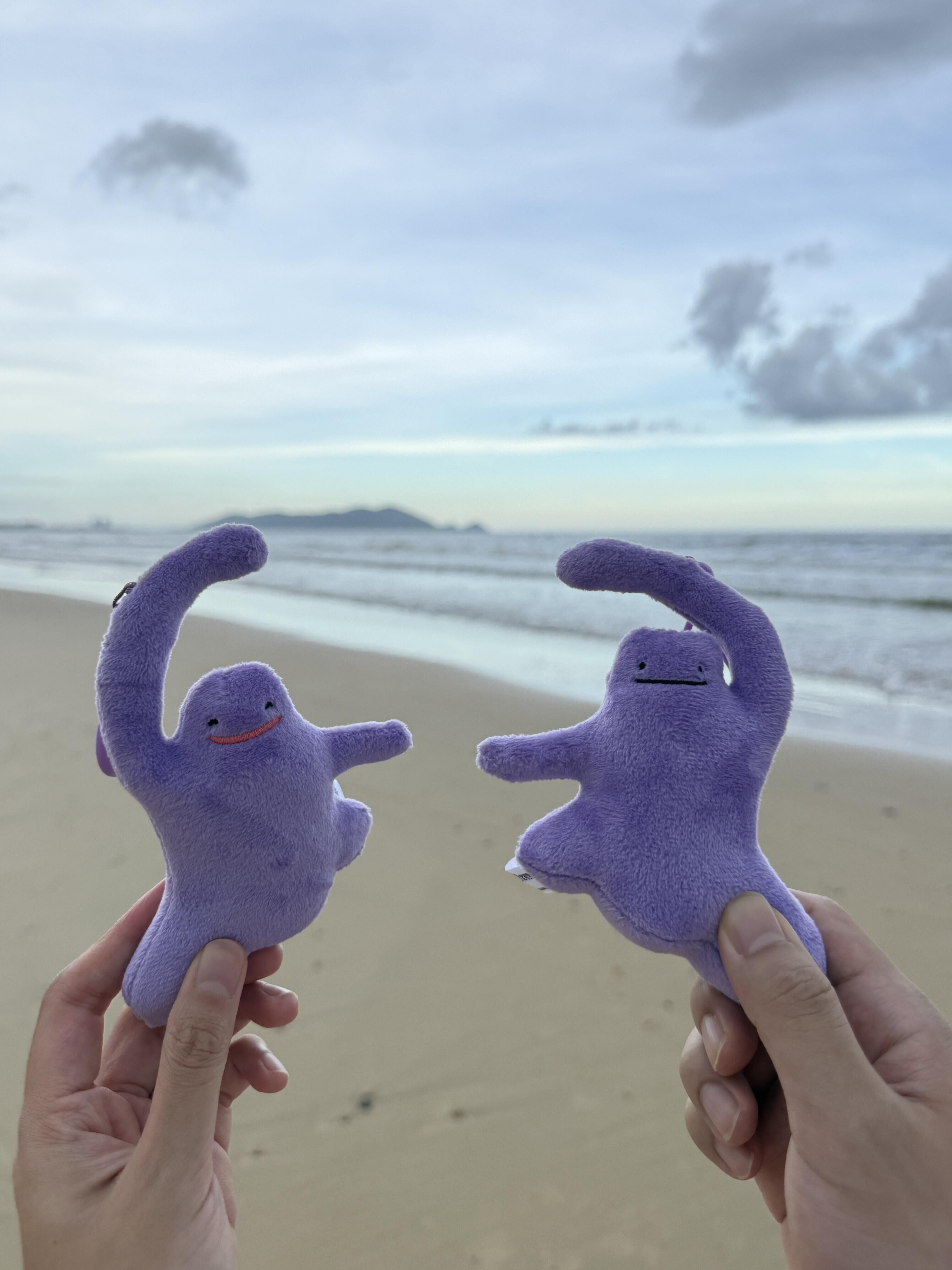 本週限時接單!! Pokemon 寶可夢 正版授權 百變怪生活系列 磁吸愛心吊飾 毛絨吊飾 鑰匙圈 (任買兩件7-11免運)/預購 下單1個就是圖片中的一對！！