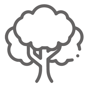 櫸木天然有機纖維莫代爾示意圖