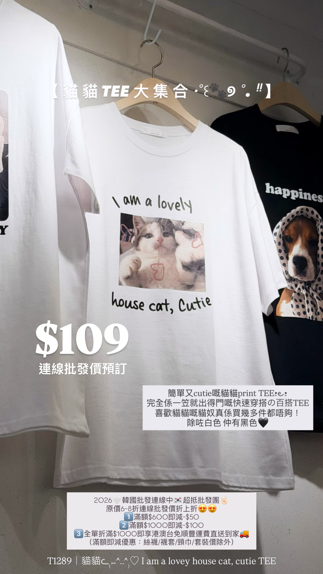 （3月韓國連線）T1289｜貓貓ᓚ₍⑅^..^₎♡ I am a lovey house cat, cutie TEE