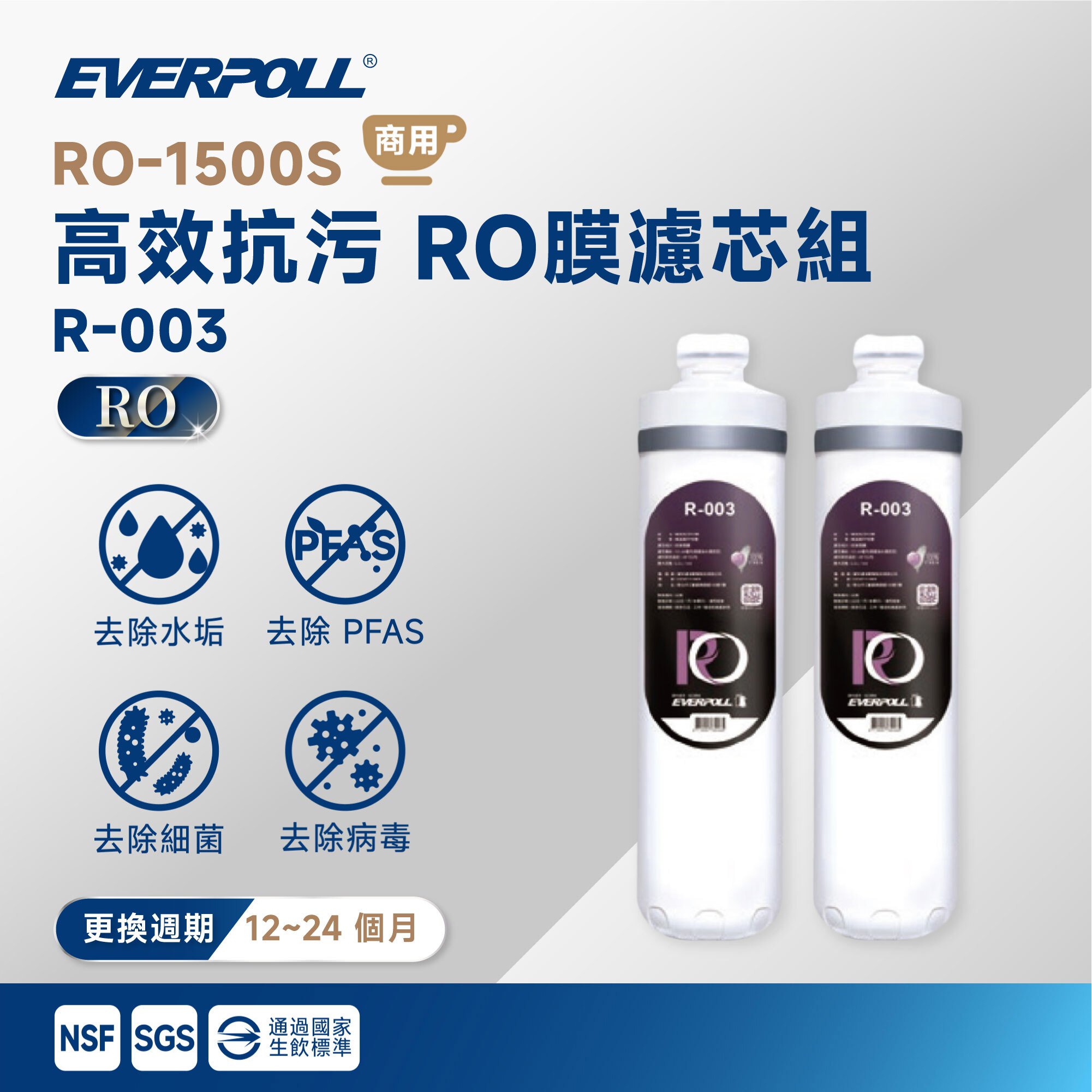 【EVERPOLL 愛科】RO-1500S 高效抗污 RO 膜濾芯組 R-003