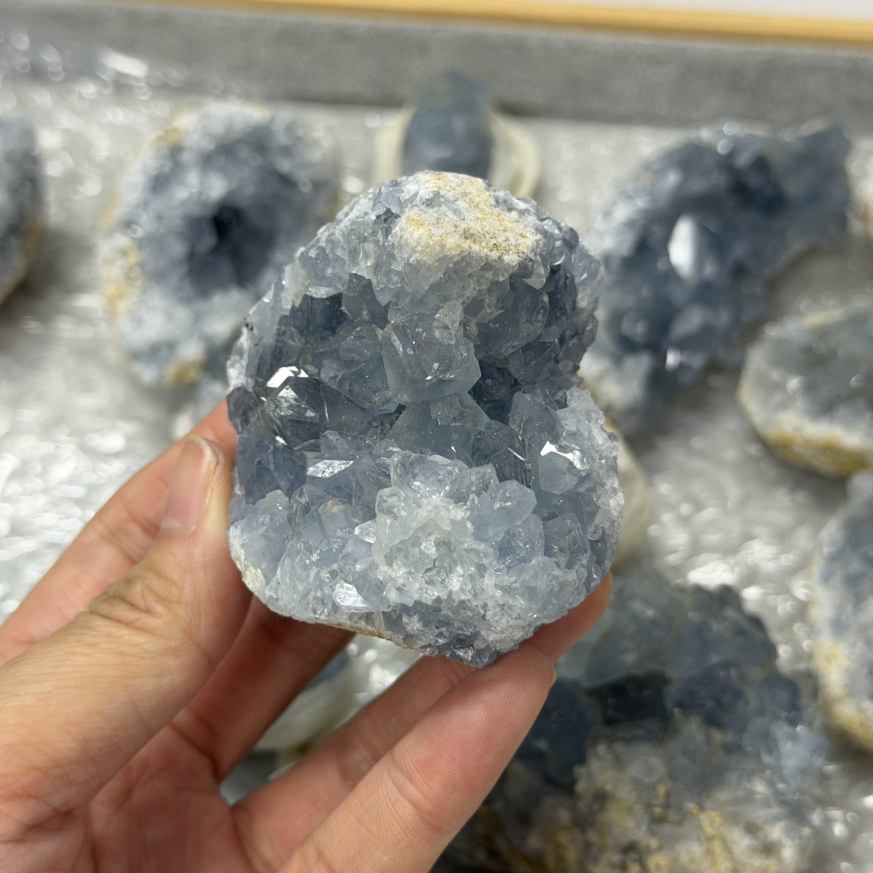 高級數天青石 CE1555