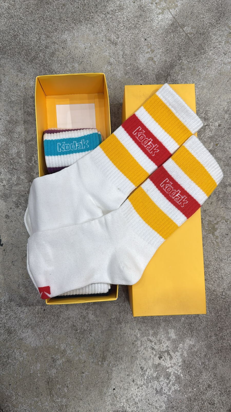 XE040 KODAK 特色印花襪子5對裝