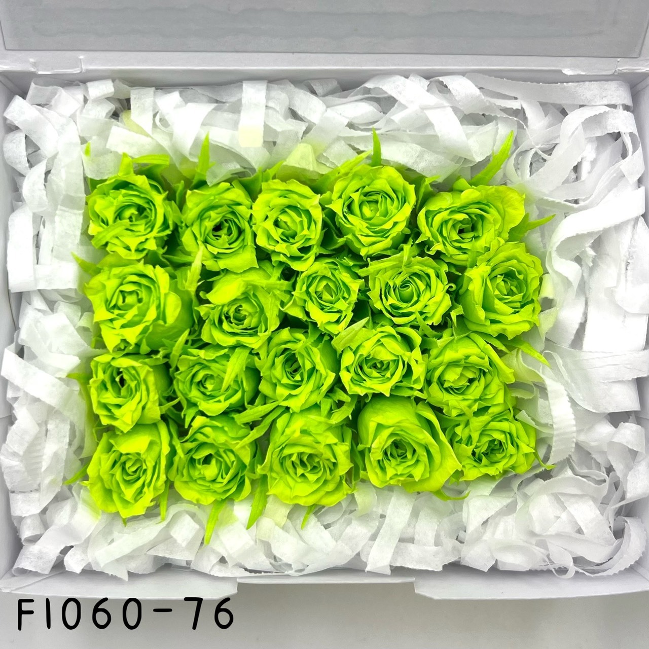 日本不凋拇指玫瑰(20朵) FL060-076