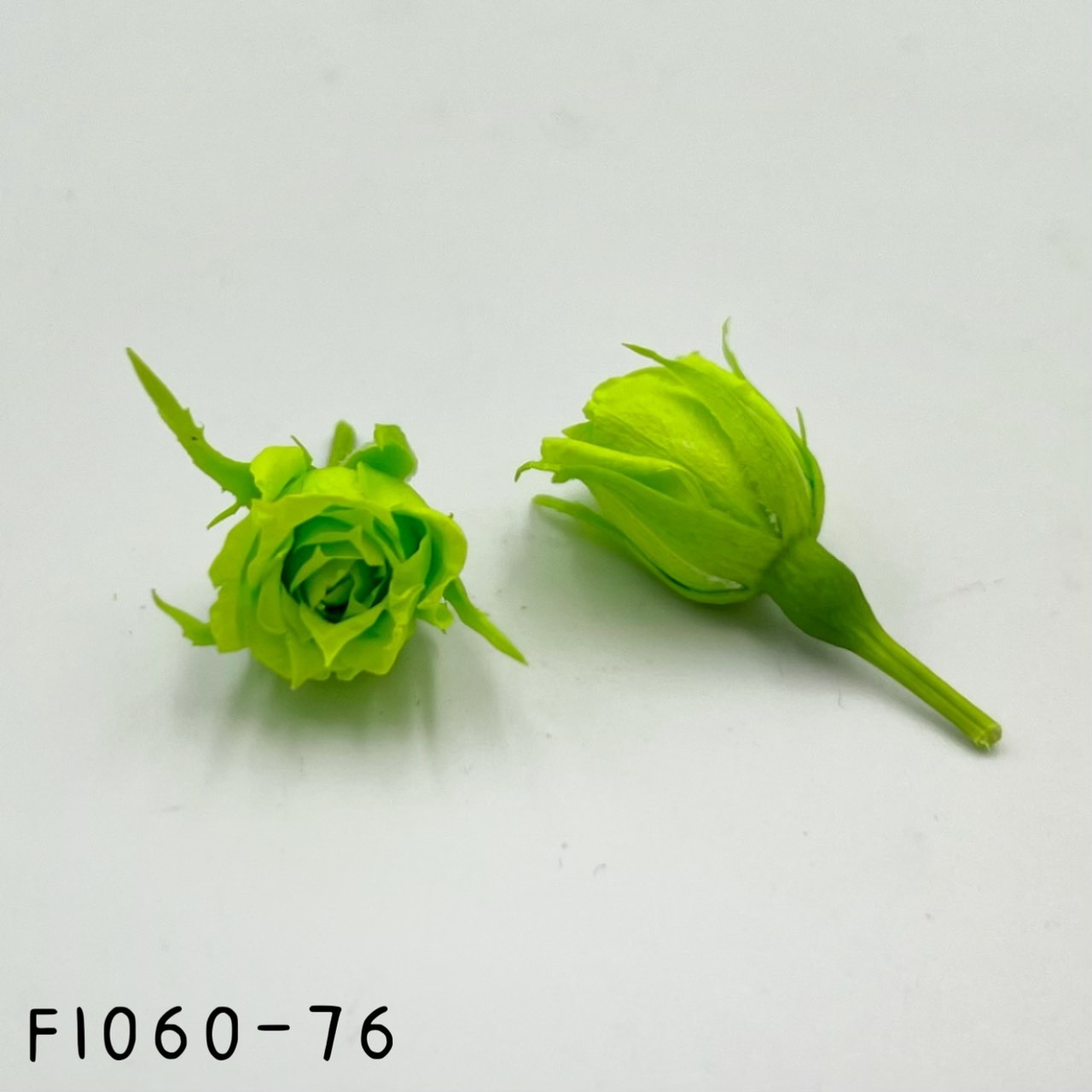 日本不凋拇指玫瑰(20朵) FL060-076