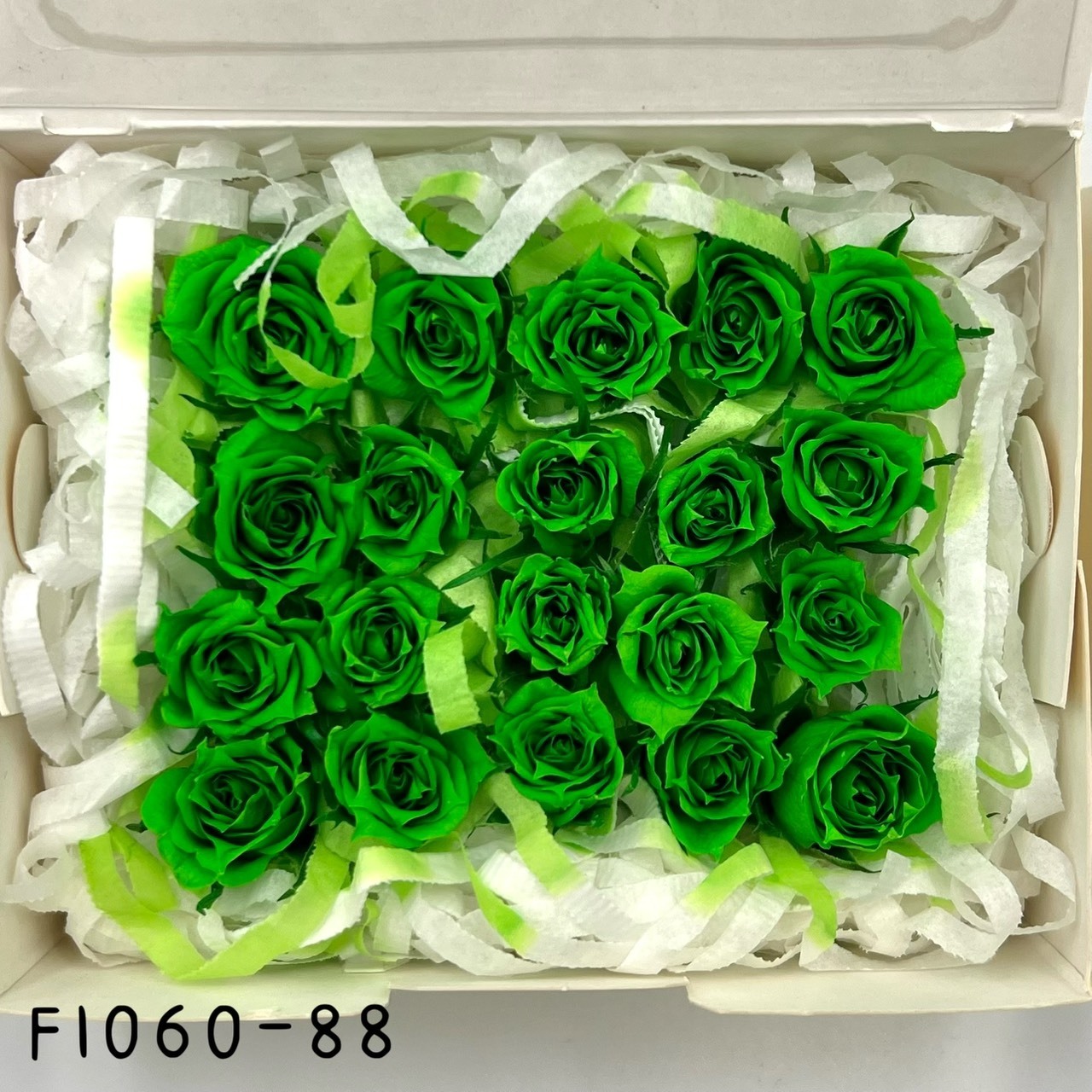 日本不凋拇指玫瑰(20朵) FL060-088