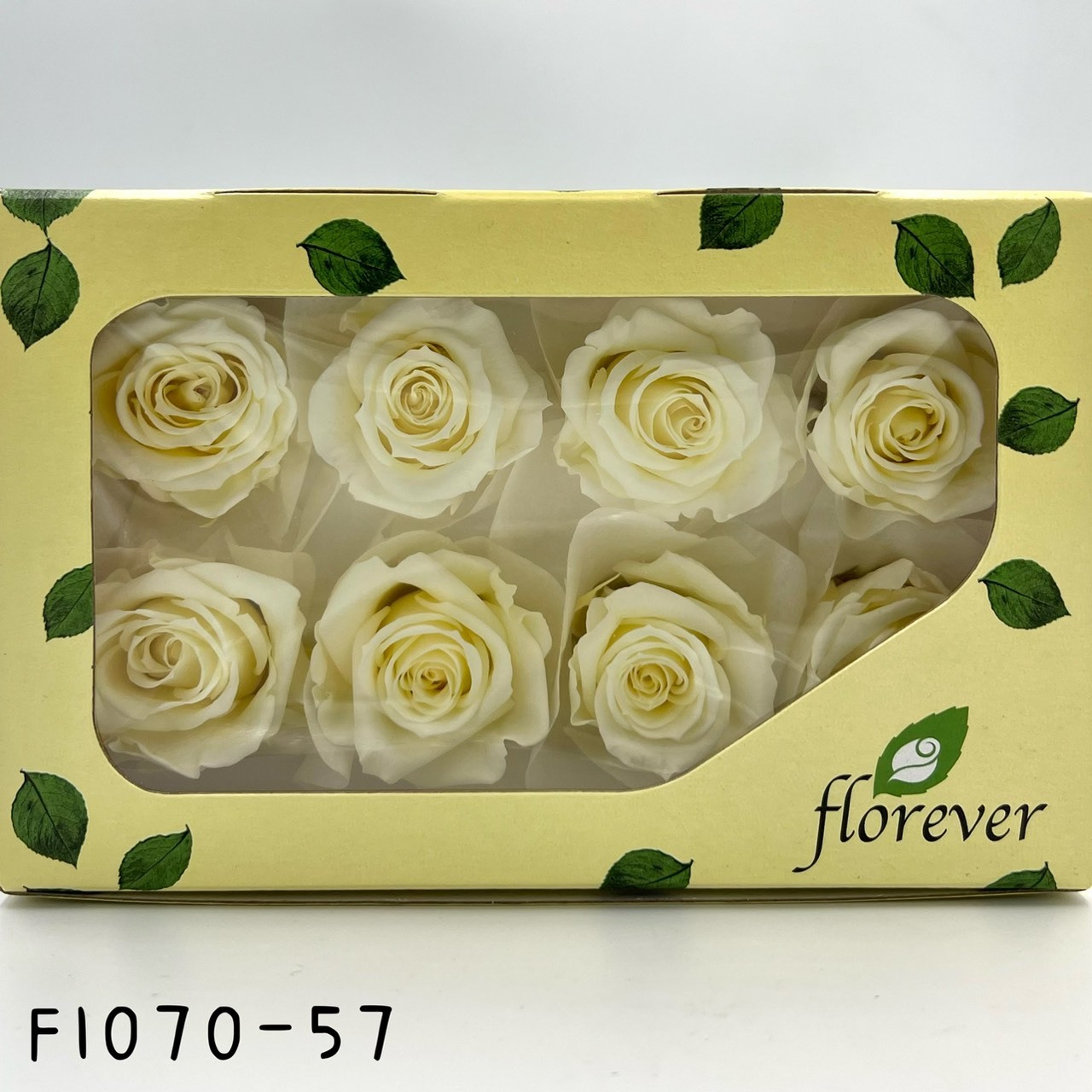 日本不凋中輪玫瑰(8朵) FL070-57