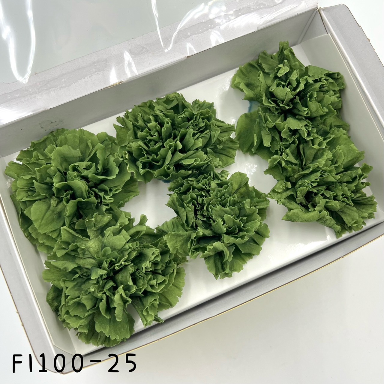 日本不凋中輪康乃馨 FL1100-025