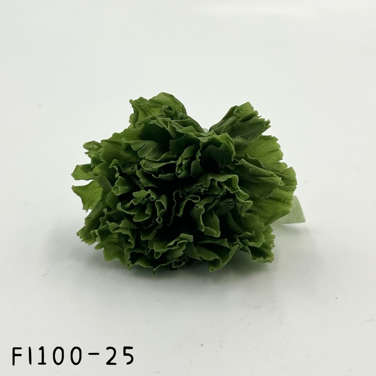 日本不凋中輪康乃馨 FL1100-025