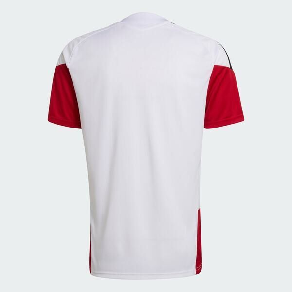 Adidas 愛迪達 Dfb Tr Jsy KB4440 男 T恤 運動上衣 休閒短袖 白 亞版 世界盃 德國