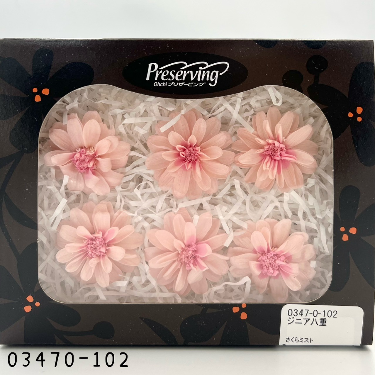 日本不凋重瓣百日草(6朵) 03470-102