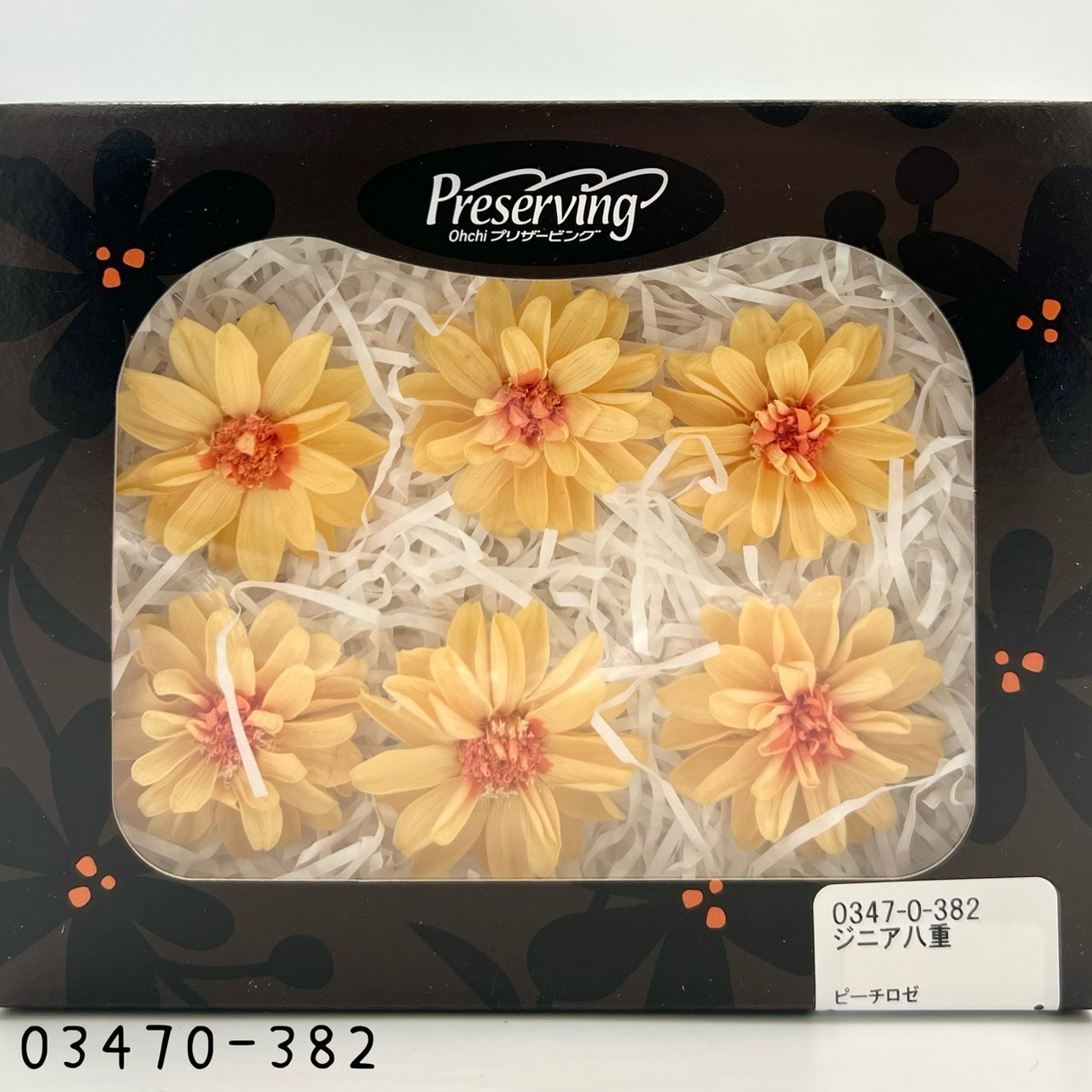 日本不凋重瓣百日草(6朵) 03470-382