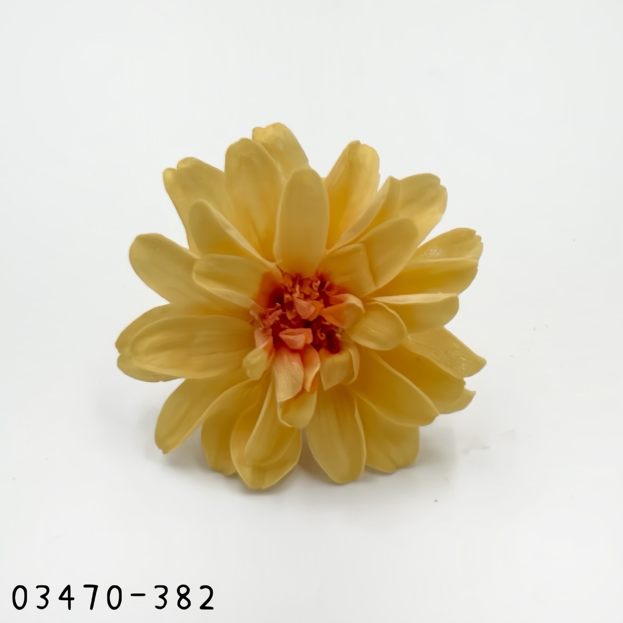 日本不凋重瓣百日草(6朵) 03470-382