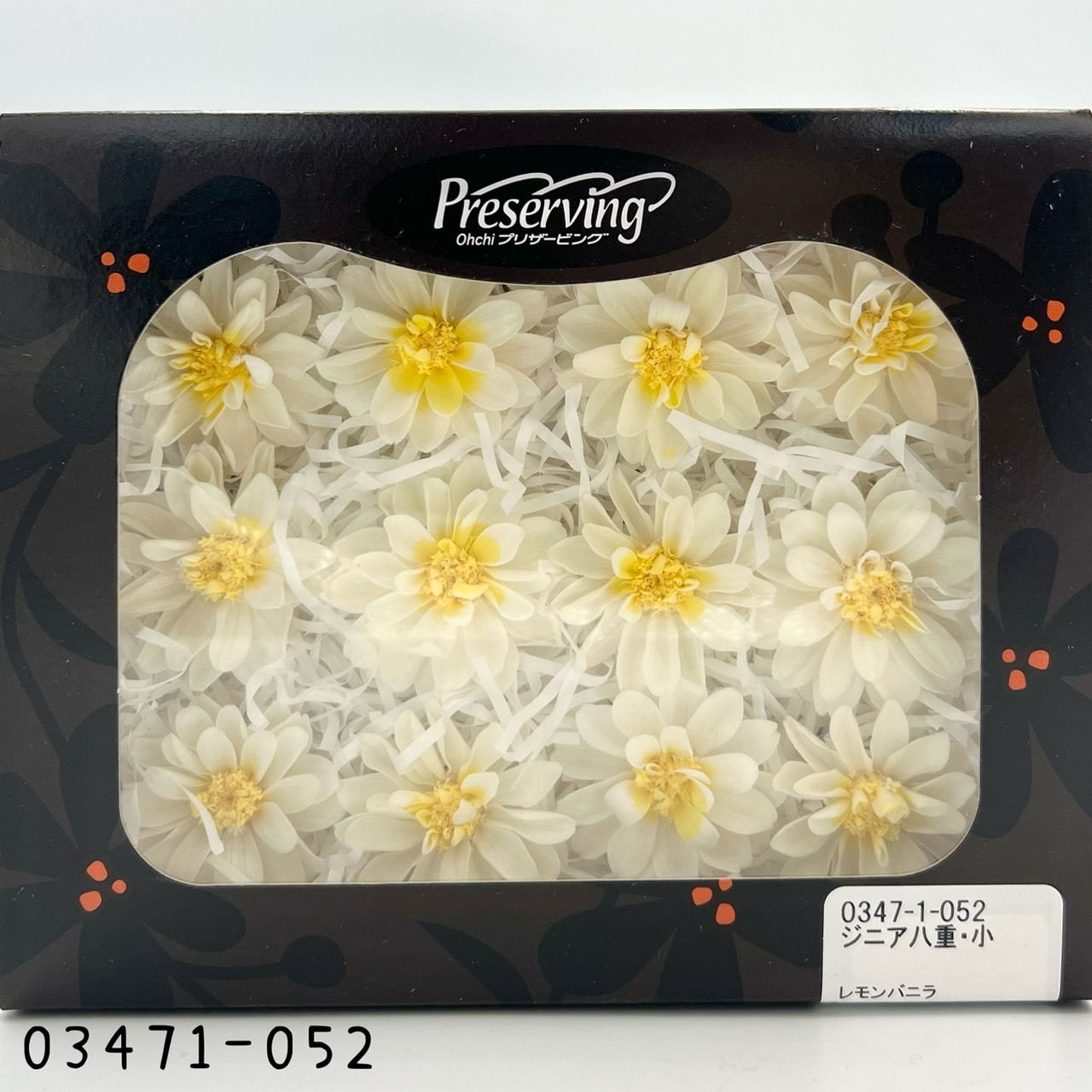 日本不凋重瓣百日草(12朵) 03471-052