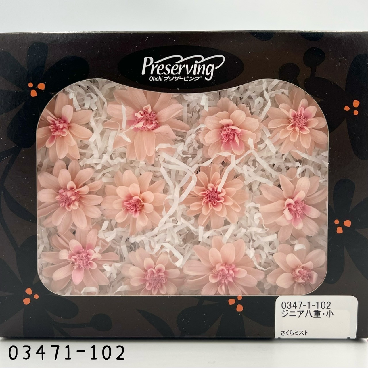 日本不凋重瓣百日草(12朵) 03471-102