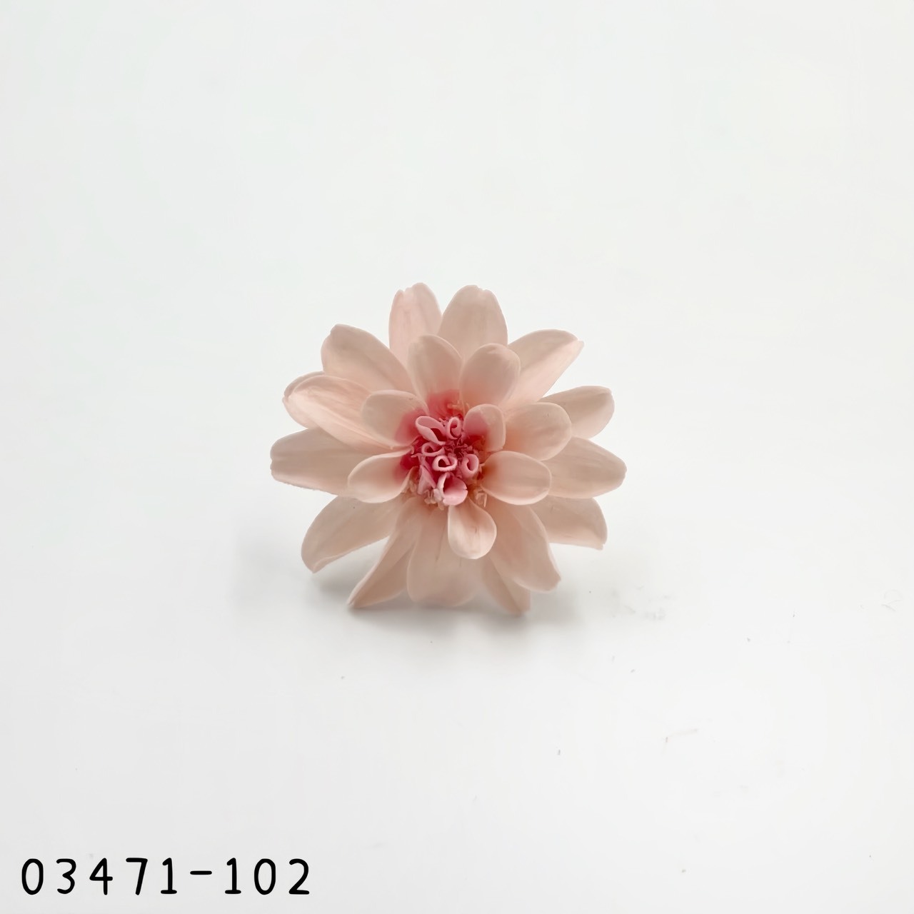 日本不凋重瓣百日草(12朵) 03471-102