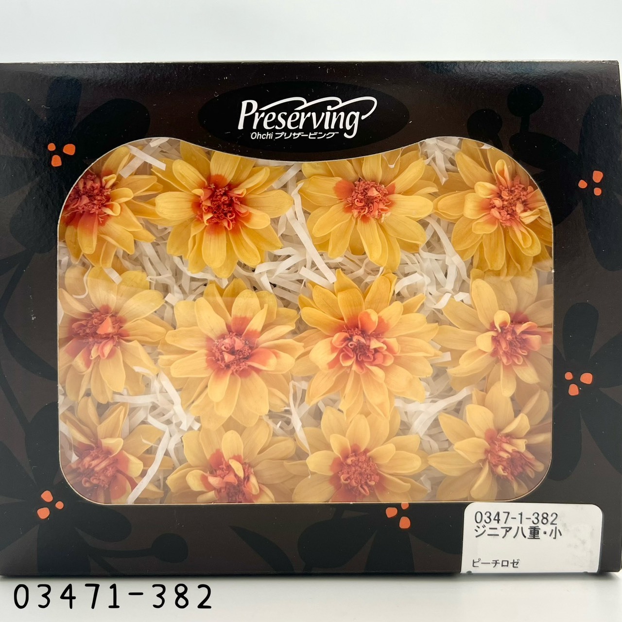 日本不凋重瓣百日草(12朵) 03471-382