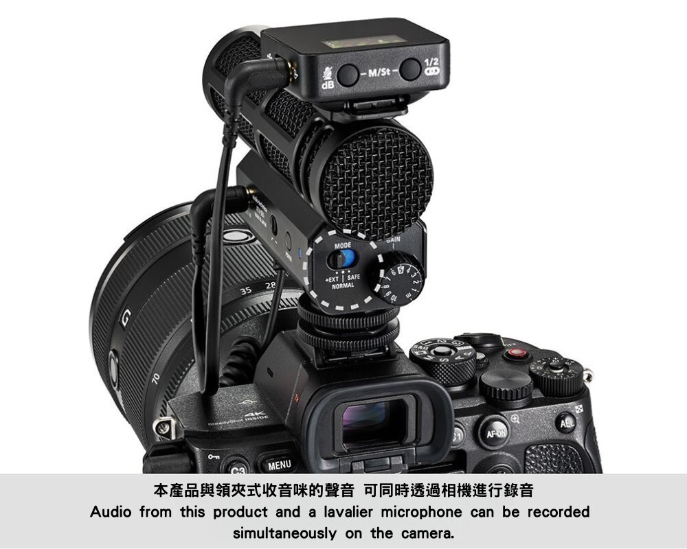 安全音軌（Safety Track）功能