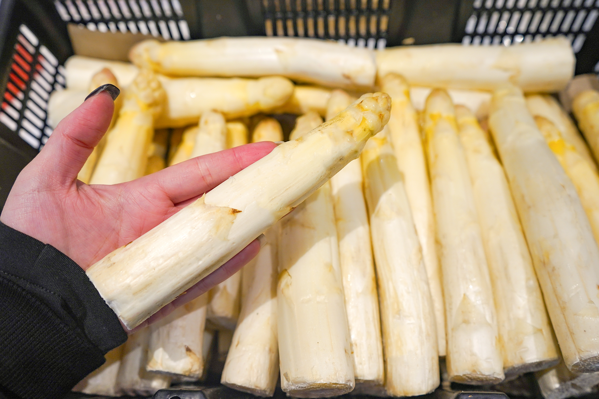 法國 白蘆筍 ⚠️冷藏寄送，請與冷凍商品分開下單⚠️