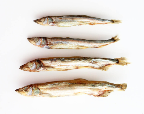 Matroos - 多春魚中包裝100g